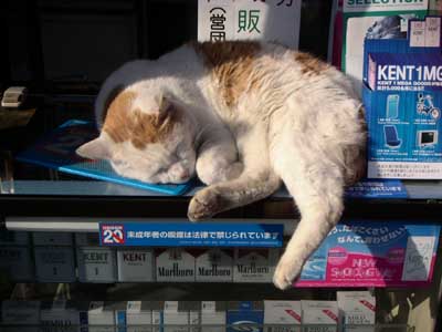 ``AC炠ႵȂ